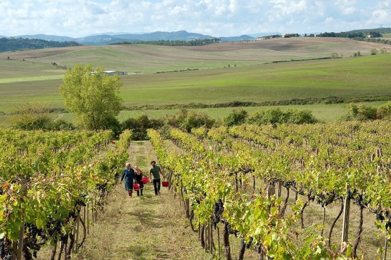 La Spin Winera App e il suo Mysterioso Bonus di Benvenuto